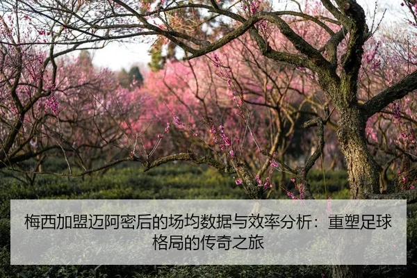 梅西加盟迈阿密后的场均数据与效率分析：重塑足球格局的传奇之旅